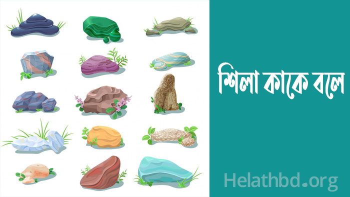 শিলা কাকে বলে? শিলার প্রকারভেদ