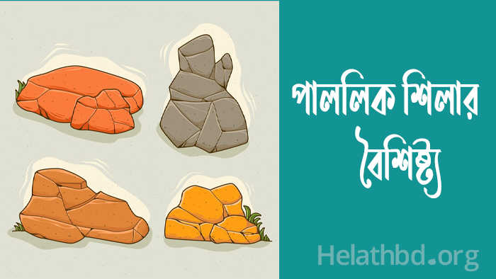 শিলা কাকে বলে? শিলার প্রকারভেদ