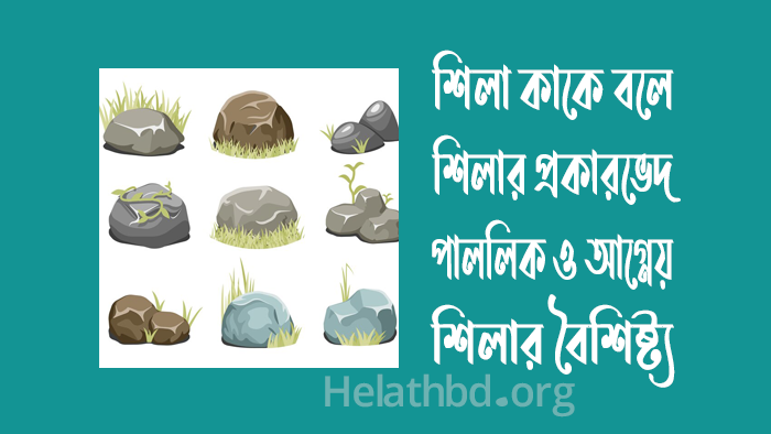শিলা কাকে বলে? শিলার প্রকারভেদ