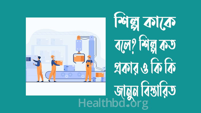শিল্প কাকে বলে? শিল্প কত প্রকার ও কি কি
