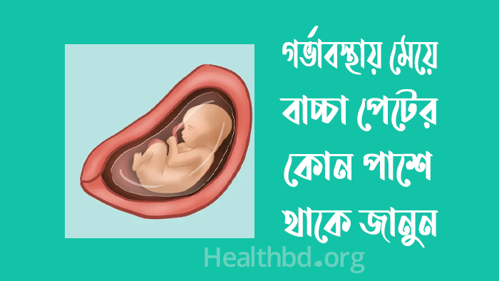 গর্ভাবস্থায় মেয়ে বাচ্চা পেটের কোন পাশে থাকে