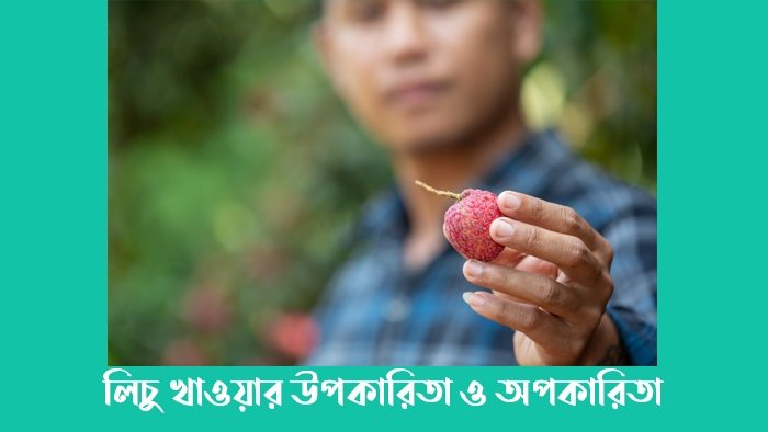 প্রিয় পাঠক, আপনি নিশ্চয়ই লিচু খাওয়ার উপকারিতা ও অপকারিতা সম্পর্কে জানতে চাচ্ছেন। তাহলে আপনি সঠিক জায়গাতেই এসেছেন। কারণ আমরা এই পোস্টের মাধ্যমে সুন্দরভাবে আলোচনা করার চেষ্টা করেছি লিচু খাওয়ার উপকারিতা ও অপকারিতা সম্পর্কে। শুধু তাই নয় লিচু খাওয়ার নিয়ম থেকে শুরু করে, নিজের আরো অন্যান্য বিষয়গুলো আপনার সামনে উপস্থাপন করার চেষ্টা করব। আমরা প্রত্যেকে লিচু খেতে খুবই পছন্দ করি, সেজন্য লিচুর উপকারিতা ও অপকারিতা বিষয়ে সকলেরই জানা উচিত। তাছাড়া লিচুতে রয়েছে প্রচুর পরিমাণে ভিটামিন, যা আমাদের শরীরের জন্য খুবই উপকারী। আর লিচু পছন্দ করে না এমন মানুষ বাংলাদেশের খুঁজে পাওয়া প্রায় অসম্ভব। তাহলে চলুন দেরি না করে ঝটপট আমরা জেনে আসার চেষ্টা করি লিচুর উপকারিতা ও অপকারিতা বিষয়ে। উপস্থাপনা আমাদের সকলেরই পছন্দের ফল হল লিচু। লিচুর অনেক গুনাগুন রয়েছে যা আমাদের শরীরে পুষ্টির চাহিদা মেটাতে পারে। গ্রীষ্মকালীন সিজনে অনেক বাগানের আমরা লিচু দেখতে পাই। অনেকে আছেন যারা বাড়ির আশেপাশে লিচুর গাছ লাগিয়ে লিচু খান। বিশেষ করে গ্রাম অঞ্চলগুলোতে লিচুর গাছ দেখা যায় বেশি। কেননা গ্রাম অঞ্চলগুলোতে লিচুর চাষ অনেকেই করে থাকেন। বাংলাদেশে লিচু চিনে না অথবা লিচু খেতে ভালোবাসে না এমন মানুষ খুঁজে পাওয়া খুবই মুশকিল। গ্রীষ্মকালীন এই ফলটি খেতে খুবই সুস্বাদু এবং পুষ্টিকর । লিচুর গাছ ডাল পাতা থেকে শুরু করে প্রতিটি জিনিস অনেক বেশি উপকারী ও ভিটামিন বিদ্যমান। বাংলাদেশের বিভিন্ন অঞ্চলের লিচু চাষ করা হয়। লিচু গ্রীষ্মকালীন ফল হিসেবে চিনা হয় কারণ লিচু শুধুমাত্র গ্রীষ্মকালে দেখা যায়। মানুষ যখন গরমের তীব্রতায় অতিষ্ঠ হয়ে পড়ে তখন মানুষের জানকে প্রশান্তি দিতে লিচু যথেষ্ট। ঠান্ডা মিষ্টি এ লিচু খেতে খুবই সুস্বাদু বাংলাদেশে এমন মানুষ এর সংখ্যা খুবই কম কারণ আমরা প্রত্যেকে লিচু খেতে খুবই ভালোবাসি ছোট থেকে শুরু করে বড়রা পর্যন্ত প্রত্যেকে লিচু খেতে ভালবাসি।  যাইহোক আমরা অন্যদিকে না যাই যেহেতু আমরা এই পোস্টটিতে এসেছি লিচুর উপকারিতা ও অপকারিতা সম্পর্কে জানার জন্য। আমরা আজকে লিচু বিষয়ে বিভিন্ন অজানা তথ্য আপনাদের সামনে আলোচনা করব। তাহলে চলুন আর কথা না বাড়িয়ে বিস্তারিত জেনে নেওয়া যাক। লিচুর পুষ্টিগুণ  লিচু যত গ্রীষ্মকালীন ফল সেক্ষেত্রে এটি আমরা প্রত্যেকে খেতে ভালবাসি তবে গর্ভকালীন সময় ছাড়া সাধারণ দিনে লিচু খাওয়ার উপকারিতা গুলো কি কি এবং লিচুর পুষ্টিগুণ কি সেই বিষয়ে জেনে নিন। লিচুর পুষ্টিগুণ নিম্নে উল্লেখ করা হলঃ পটাশিয়াম  ক্যালসিয়াম  আয়রন  প্রোটিন  ফাইবার  সোডিয়াম  ম্যাগনেসিয়াম  ভিটামিন সি  ভিটামিন বি ৬  ভিটামিন বি ১২ এর পাশাপাশি লিচু থেকে প্রচুর পরিমাণে অ্যান্টিঅক্সিডেন্ট পাওয়া যায় যা মানব শরীরের রোগ প্রতিরোধ ক্ষমতা কে বৃদ্ধি করতে সহায়ক। লিচু সুস্বাদু হওয়ার পাশাপাশি হাজারো পুষ্টিগুলো খনিজ উপাদানে ভরপুর। লিচু খাওয়ার উপকারিতা ও অপকারিতা যেহেতু আমরা প্রত্যেকে লিচু খেতে খুব ভালোবাসি এবং আমরা গ্রীষ্মকালে লিচু খেয়ে থাকি সে ক্ষেত্রে আমাদেরকে লিচু খাওয়ার আগে জানতে হবে লিচু খাওয়ার উপকারিতা গুলো কি কি। হতে পারি লিচু আমাদের মানব শরীরের জন্য ক্ষতিকর তাহলে আমরা না জেনেই লিচু খেয়ে নিজের ক্ষতি করছি নাকি? সঠিক তথ্য জানতে পোস্টে সম্পন্ন দেখতে থাকুন। লিচু খাওয়ার উপকারিতা নিম্নে তুলে ধরা হলঃ দীর্ঘদিনের কোষ্ঠকাঠিন্য দূর হয়  আপনি কি দীর্ঘদিন থেকে এই কোষ্ঠকাঠিন্যের সাথে ভুগছেন কিন্তু কোনভাবেই কোষ্ঠকাঠিন্য সমস্যা থেকে রেহাই পাচ্ছেন না? তাহলে এখন লিচু খাওয়ার মাধ্যমে আপনি কোষ্ঠকাঠিন্য সমস্যা দূর করতে পারবেন। শুনে খুব অবাক হচ্ছেন তো?  লিচু থেকে উচ্চমানের ফাইবার পাওয়া যায় কোষ্ঠকাঠিন্য এর সমস্যাকে দূর করতে সাহায্য করে। কোষ্ঠকাঠিন্য সমস্যা এটি বর্তমান সময়ে গুরুতর আকার ধারণা করলেও আপনি যদি এটি কে দীর্ঘদিন থেকে অবহেলা করতে থাকেন তাহলে পরবর্তী সময়ে এটি পাইলস এর রূপ ধারণ করতে পারে। কোষ্ঠকাঠিন্য পাইলসের প্রথম রূপ বললেই চলে। আলসার দূর হয়  দীর্ঘদিন থেকে গ্যাস্ট্রিকের সমস্যায় ভুগলে পরবর্তী সময়ের মতো সমস্যা দেখা দেয় । আর আলসার অনেক গুরুত্বর রোগ। আলসার হলে পেটে তীব্র জ্বালাপোড়া অনুভূত হয়। তাই আলসার থেকে রেহাই পেতে নিয়মিত লিচু খাওয়া শুরু করুন লিচু থেকে ভরপুর খনিজ উপাদান ও ভিটামিন সংগ্রহ করা যায় যা আলসারের সমস্যা কে দূর করতে সহায়তা করে। তাই আলসার থেকে রেহাই পেতে অথবা মুক্তি পেতে লিচু খাওয়া শুরু করুন।   ত্বক সুন্দর হয়  আপনি কি আপনার ত্বক কে সুন্দর করতে চান? সাধারণ কথায় আমরা প্রত্যেকে সুন্দর ত্বকের অধিকারী হতে চাই কারণ সমাজে অসুন্দর  মানুষকে কেউই মূল্য দেয় না প্রত্যেকের সুন্দর খোঁজে। যার কারণে অনেকে সুন্দর্যতা লাভ করার জন্য বিভিন্ন প্রকার প্রোডাক্ট ব্যবহার করে থাকেন।  কিন্তু বাজারের এই কেমিক্যাল মিস্ত্রিতে প্রোডাক্টগুলো আপনার ত্বককে একটি নির্দিষ্ট সময়ের জন্য সুন্দর করবে কিন্তু পরবর্তী সময়ে আপনি আবার আগের মত কালো রং ধারণ করবেন।  আপনি যদি আপনার ত্বককে প্রাকৃতিকভাবে দীর্ঘস্থায়ী সুন্দর করতে চান তাহলে এখন থেকে লিচু খাওয়া শুরু করুন।  ফলমূলের চেয়ে বেশি উপকারী আর কিছুই নেই। লিচু থেকে প্রচুর পরিমাণে খনিজ উপাদান ভিটামিন পাওয়া যায় শরীরের জন্য উপকারী হওয়ার পাশাপাশি ত্বকের জন্য উপকারী। গ্রীষ্মকালীন এই ফলটি আপনাকে সুন্দর করার পাশাপাশি আপনার শরীরের রোগ প্রতিরোধ ক্ষমতা কে বৃদ্ধি করবে। তাই শরীরকে সুস্থ রাখতে এবং ত্বককে সুন্দর করতে লিচু খেতে হবে।  ত্বক মসৃণ ও কোমল হয়  ইতিমধ্যেই আপনি নিশ্চয়ই বুঝতে পেরেছেন যে লিচু ত্বকের জন্য খুবই উপকারী। লিচু থেকে ভিটামিন বি ৬ সংগ্রহ করা যায় যা ত্বকে সুন্দর করতে সহায়তা করে এবং তাকে মসৃণ ও কোমল করে তাই ত্বকের সৌন্দর্য তাকে ফুটিয়ে তুলতে এবং নিজেকে সুন্দর বানাতে নিয়মিত লিচু খাওয়ার অভ্যাস তৈরি করুন। লিচু হওয়ার পাশাপাশি হাজারো পুষ্টিগুণ সমৃদ্ধ। তাই ত্বককে মসৃণ ও কোমল করতে এবং শরীরের রোগ প্রতিরোধ ক্ষমতা বৃদ্ধি করতে হজম শক্তি উন্নত করতে লিচু খেতে হবে।  হজম শক্তি উন্নত হয়  লিচু থেকে প্রচুর পরিমাণে ফাইবার পাওয়া যায় যা হজম শক্তিকে উন্নত করতে সহায়তা করে হজম শক্তি দুর্বল থাকলে খাবার দ্রুত হজম হয় না যার ফলে গ্যাস্ট্রিকের সমস্যা দেখা দেয় পাশাপাশি পেট ফুলে থাকে এবং ক্ষুধা হ্রাস পায়। তাই হজম শক্তিকে উন্নত করা খুবই জরুরী আর হজম শক্তিকে উন্নত করতে নিয়মিত লিচু খেতে হবে প্রতিদিন পাঁচ থেকে ছয়টা লিচু খাবেন। এতে হজম শক্তি উন্নত হওয়ার পাশাপাশি শরীর সুস্থ থাকবে।  হার্টের কার্যক্ষমতা বৃদ্ধি পায়  হার্ট মানব শরীরের সবচেয়ে ভারী অঙ্গ গুলোর মধ্যে একটি হার্টের কাজ হল শরীরের সমস্ত বিষাক্ত কিংবা দূষিত পদার্থ গুলোকে বর্জ্য পদার্থের রূপান্তরিত করে শরীর থেকে ত্যাগ করা। তাই হার্ট শরীরের সবচেয়ে গুরুত্বপূর্ণ অঙ্গ গুলোর মধ্যে একটি কোনোভাবে যদি এই হার্ট অচল হয়ে পড়ে তাহলে মৃত্যু অনিবার্য।  এক্ষেত্রে হার্টকে সুস্থ রাখার জরুরি এজন্য হার্টের সুস্থ রাখতে হার্টের যত্ন নিতে হবে এখন আপনার মনে প্রশ্ন আসতে পারে হার্টের যত্ন কিভাবে নেওয়া সম্ভব? হার্টের যত্ন নিতে নিয়মিত লিচু খেতে হবে লিচু থেকে ভরপুর পটাশিয়াম পাওয়া যায় যা হার্টের কার্যক্ষমতা কে  বৃদ্ধি করে এবং হাড়কে সুস্থ রাখতে সহায়তা করে। হার্টের কার্যক্ষমতা যত বৃদ্ধি পাবে আপনার শরীর তত সুস্থ থাকবে।  লিচু খেলে হার্ট সুস্থ থাকার পাশাপাশি হজম শক্তি উন্নত হয় এবং ওজন কমে সাথে ত্বক সুন্দর হয়। আমরা অনেকেই লিচু খেতে ভালবাসি কিন্তু নিচের উপকারিতা সম্পর্কে অনেকেই জানিনা আজকের এই পোস্টটা আপনাদের সাথে কিছু খাওয়ার উপকারিতা গুলো আলোচনা করলাম। কিছু খাওয়ার উপকারিতা এখানেই শেষ নয়। রোগ প্রতিরোধ ক্ষমতা বৃদ্ধি পায় লিচুর থেকে প্রচুর পরিমাণে অ্যান্টিঅক্সিডেন্ট পাওয়া যায়। যা মানব শরীরের রোগ প্রতিরোধ ক্ষমতা বৃদ্ধি করতে সহায়তা করে। আপনি যদি নিয়মিত লিচু খান, তাহলে আপনার শরীরের রোগ প্রতিরোধ ক্ষমতা অনেক বৃদ্ধি পাবে এতে আপনার শরীর দ্রুত কোন রোগ বালাই দ্বারা আক্রান্ত হবে না।  বড়দের তুলনায় ছোটদের শরীরের রোগ প্রতিরোধ ক্ষমতা অনেক কম হয়। এই জন্য বাসায় ছোটদের বেশি বেশি লিচু খাওয়াবেন। বাচ্চাদের বেশি বেশি লিচু খাওয়ালে এতে তাদের শরীরে রোগ প্রতিরোধ ক্ষমতা বৃদ্ধি পাবে এবং তাদের রোগবালাই তারা আক্রান্ত হওয়ার সম্ভাবনা অনেক কমে যাবে। প্রিয় পাঠকগণ আশা করছি ওপরের আলোচনার মাধ্যমে আপনি বুঝতে পেরেছেন গর্ভবতী মায়ের খাবার তালিকা সম্পর্কে। পার্বতী মায়ের তাড়াতাড়ি আয় প্রতিটি পোস্টটি উপাদান বিদ্যমান থাকতে হবে। আপনি যদি উপরের খাবার তালিকা অনুসারে খাদ্য গ্রহণ করেন তাহলে আশা করছি আপনার বাচ্চা পুষ্টিতে পরিপূর্ণ হবে এবং আপনি সুস্থ সবল বাচ্চা জন্ম দিতে সক্ষম হবেন।  আর গর্ভাবস্থায় অতিরিক্ত লিচু খাওয়া থেকে বিরত থাকুন। লিচু শরীরে তাপ উৎপন্ন করতে সক্ষম আর গর্ভবস্থায় বেশি বেশি লিচু খেলে এতে বাচ্চার মারাত্মক ক্ষতি সাধন হতে পারে। লিচু খাওয়ার অপকারিতা লিচুতে বিভিন্ন ধরনের প্রয়োজনীয় উপাদানের ঘাট রয়েছে, (যেমনঃ ক্যালসিয়াম, ফ্যাট এসিড, প্রোটিন নেই) সেজন্য অতিরিক্ত পরিমাণে লিচু খেলে তা আমাদের শরীরের স্বাভাবিক ব্যালেন্স নষ্ট করে ফেলে। তাই আমাদের সকলের উচিত পরিমিতভাবেই লিচু ফল খাওয়া। ১০০ গ্রাম লিচুতে রয়েছে ৬৬ ক্যালোরি, তাই অতিরিক্ত পরিমাণে লিচু খেলে যে পরিমাণ ক্যালরি জমা হয়ে থাকে তা যদি সঠিকভাবে ব্যবহার না করা হয় তাহলে শরীরের ওজন বৃদ্ধি পেতে পারে। লিচু রক্তের গ্লুকোজ কমাতে বেশ সাহায্য করে থাকে। তাই যাদের ডায়াবেটিস রয়েছে এবং যারা ওষুধের মাধ্যমে ডায়াবেটিস নিয়ন্ত্রণ করছেন তারা লিচু খাওয়ার সাবধানতা অবলম্বন করবেন। এমনিতেই ওষুধ আমাদের রক্তে গ্লুকোজ কমায়, এর সঙ্গে লিচু যদি আমাদের রক্তেগুলো খোঁজ কমায় তাহলে যে কোন সময় যে কোন বিপদ ঘটতে পারে। এবং ছোট বাচ্চাটা যদি লিচু গ্রহণ করে তাহলে অবশ্যই যেন ভরা পেটে গ্রহণ করে। খালি পেটে লিচু খেলে শিশুদের অনেক সমস্যা দেখা দিতে পারে। আপনি যদি অতিরিক্ত পরিমাণে লিচু খান তবে অস্বাভাবিকভাবে রক্তচাপ কমে যেতে পারে। যেমন বুক ধরফর করা, মাথা ঘোরা, শ্বাসকষ্ট হওয়া, বমি বমি ভাব হওয়া ইত্যাদি। যারা সার্জারি রোগী আছেন, তারা অল্প পরিমাণে লিচু খাওয়ার চেষ্টা করবেন, কারণ সার্জারির রোগীদের অতিরিক্ত পরিমাণে লিচু খাওয়ার অনেক ঝুঁকি রয়েছে। সেজন্য যারা সার্জারি করবেন ভাবছেন তারা অন্তত দুই সপ্তাহ আগে থেকেই লিচু খাওয়া থেকে বিরত থাকার চেষ্টা করবেন। লিচু ফল একটি গরম ফল। তাই লিচু ফল গরম হওয়ায় অতিরিক্ত পরিমাণে লিচু খেলে আমাদের শরীরের স্বাভাবিক তাপমাত্রা ব্যালেন্স হারিয়ে ফেলে। ফলে মুখের ভেতরের ক্ষত হওয়া, নাক দিয়ে রক্ত পড়া এমনকি গলা ব্যথা হওয়ার সমস্যা দেখা দিতে পারে।বর্তমান সময়ে আমাদের দেশে আবহাওয়ার কারণে এ সকল সমস্যা হওয়ার ভয় বেশি থাকে। আপনি যদি একটানা অতিরিক্ত পরিমাণে লিচু খান তাহলে আপনার ইমিউনিটি বেড়ে যাবে। এর সঙ্গে সঙ্গে আপনার বিভিন্ন ধরনের রোগের আশঙ্কা বেড়ে যাবে। যেমন হতে পারে, লপাস, রিউমাটয়েড আরর্থ্রাইটিস, মাল্টিপল স্ক্লেরসিস ইত্যাদি রোগগুলো থাকলে আরো বেড়ে যাওয়ার আশঙ্কা থাকে। লিচু খাওয়ার নিয়ম লিচু ফলটি এমন একটি ফল যা সবাই পছন্দ করে খেতে। কিন্তু আপনি কি জানেন বিভিন্ন গবেষণায় এই লিচু খাওয়ার নিয়ম বলা হয়েছে। সকলেই জানি লিচু হল সিজনাল ফল। সেজন্যই মূলত প্রচুর পরিমাণে লিচু হাওয়ায় মস্তিষ্কে উত্তেজনা হওয়ার ঘটনা জানা গেছে। আবার এই লিচু একিউট এনকেফালাইটিস সিনড্রোম নামের এক জটিলতর সমস্যা দেখা দিতে পারে। লিচু টক্সিসিটি কিংবা একিউট হাইপোগ্লায়সেমিক টক্সিক এনকেফালাইটিস হওয়ার কারণে প্রচুর পরিমাণে সমস্যা দেখা দিতে পারে। কিন্তু তাই বলে এই নয় যে লিচু ফল খেলেই রোগে আক্রান্ত হয়ে মারা যাবে বা মারা যাবেন।লিচু ফলে অল্প পরিমাণ টক্সিন থাকে, যেমন এমসিপিজি এবং হাইপোগ্লাইসন-এ ইত্যাদি। এগুলো মূলত আমাদের শরীরের গ্লুকোজ উৎপাদন ও চর্বি ভাঙতে বিশেষভাবে বাধার সৃষ্টি করে থাকেন। সেজন্য যারা রাতে খালি পেটে ঘুমিয়ে পড়ে এবং সকালে খালি পেটে উঠে লিচু খাই তাহলে ঝুঁকিপূর্ণ হতে পারে। বিশেষ করে যে সমস্ত ব্যক্তিরা রোগা পাতলা কিংবা অপুষ্টির শিকার ও যাদের বয়স দুই থেকে ১০ বছরের মধ্যে এ সকল শিশুদেরও ঝুঁকিপূর্ণ হতে পারে। সেজন্য শিশুদের হঠাৎ করেই গ্লুকোজের অভাব দেখা দিতে পারে অভাবে শিশুদের শরীর হঠাৎ করে। তবে বৈজ্ঞানিকেরা কখনোই লিচু খেতে নিষেধ করেনি কিন্তু লিচু খাওয়ার কিছু নিয়ম-কানুন আছে সেগুলো অবলম্বন করে লিচু খেতে বলেছে। আমরা সকলে ই জানি লিচুতে প্রচুর পরিমাণে পুষ্টিগুণ রয়েছে। তাই বলে আপনি কখনোই সকালে খালি পেটে লিচু খাবেন না এটা আপনার সমস্যা দেখা দিতে পারে। আর লিচু ফল খালি পেটে খাওয়া বিপদজনক বেশি শিশুদের ক্ষেত্রে। কেননা শিশুদের বিপাক ক্রিয়া সম্পূর্ণভাবে পরিপক্ক নয় সেজন্যই মূলত তাদের বেশি সমস্যা দেখা দিতে পারে। তাছাড়াও আধা পাকা কিংবা আধা কাঁচা একেবারে গাছ থেকে পেড়ে খাওয়া ঠিক নয়। সে ক্ষেত্রে আপনি যদি ভরা পেটে কিংবা খাবারের পর ৬ থেকে ৭টি লিচু খান তাহলে আপনার শরীরে অনেক উপকার হবে, এটা জানা গেছে অনেক চিকিৎসকের কাছ থেকে। এছাড়াও আপনি সবসময় খেয়াল রাখবেন আপনার শিশু যেন লিচুর খোসা গিলে না ফেলে। কারণ এতে করেও কিটনাশক সহ বিভিন্ন বাঁদরের লালা গুলো লিচুর গায়ে থাকে। সেজন্য অবশ্যই বাচ্চাকে লিচু খাওয়ানোর আগে খুব সুন্দর ভাবে ছিলে নিবেন। লিচু কি খেলে ওজন বাড়ে বাংলাদেশে বসবাস করে লিচু পছন্দ করেন না এমন মানুষ খুঁজে পাওয়া প্রায় অসম্ভব। কারণ লিচু যেমন দেখতে সুন্দর তেমনি টসটসে এবং পুষ্টিগুনে ভরপুর। যখনই গ্রীষ্মকালের সিজন আসে তখনই লিচু বাগানে লাল লাল হয়ে ধরে থাকে প্রচুর লিচু দেখতে কতই না ভালো লাগে।  মনে হয় টুক করে পেরে খেয়ে নিই। কিন্তু আমাদের মধ্যে অনেক মানুষ আছে যারা মোটা হওয়ার ভয়ে বা ওজন বৃদ্ধি পাওয়ার ভয়ে লিচু খান না। তবে আপনি হয়তোবা জানেন না লিচু খেলে তো ওজন বাড়বে না বরং আপনারা যদি ওজন কমানোর ডায়েটে থাকেন তাহলে আপনার খাবারের তালিকায় লিচু রাখতে পারেন, তাতে করে আরো ভালো ফল পাবেন।  অনেক পুষ্টিবিদদের কাছ থেকে জানা গেছে, এই লিচুফলে প্রচুর পরিমাণে পানি থাকে। এবং অন্যদিকে ক্যালরি এবং ফ্যাটের মাত্রা শুধুই নাম মাত্র। সেজন্যই মূলত, আপনারা যারা ওজন কমানোর ডায়েটে রয়েছেন বা আছেন লিচু একটি আদর্শ ফল হবে আপনাদের জন্য।  তাই আপনি যদি ওজন কমাতে চান তাহলে আপনার দৈনন্দিন খাবারের সঙ্গে লিচু রাখতে পারেন এছাড়াও লিচুকে বলা হয় খাদ্যগুণের আধার। লিচু ফল শুধু সুশান নয় ফলের সঙ্গে আমাদের শারীরিক গুনাগুনও রয়েছে প্রচুর পরিমাণে। তাছাড়া ভিটামিন সি এবং অ্যাসকরবিক এসিডে ভরপুর থাকায়। লিচুতে কি অ্যাসিড থাকে? লিচুতে রয়েছে ক্যালসিয়াম, ভিটামিন-সি। তাছাড়াও লিচুতে থাকা অন্য খনিজ উপাদানগুলি যেমনঃ (আয়রন, ক্যালসিয়াম ও ম্যাগনেসিয়াম, ফলিক অ্যাসিড)। এই সমস্ত উপাদানগুলি লিচুতে প্রচুর পরিমাণে রয়েছে। সেজন্য আমাদের দৈনন্দিন পুষ্টি চাহিদা মেটাতে লিচু বেশ সাহায্য করে থাকে।  সেজন্য আমাদের প্রত্যেকেরই উচিত মৌসুমী ফলগুলো সেবন করা। কিন্তু আপনি যদি অতিরিক্ত পরিমাণে লিচু খান তাহলে, আপনার পেট খারাপ, সুগারের সমস্যা, ওজন বৃদ্ধি ইত্যাদি সমস্যা দেখা দিতে পারে। অনেক ব্যক্তিরই এলার্জির সমস্যা থাকে, তাই যাদের অ্যালার্জি সমস্যা রয়েছে তারা লিচু এড়িয়ে চলতে পারেন। সেজন্য নিয়ম মেনে পরিমান মত মৌসুমী ফল গুলো খেতে হবে আমাদের। প্রয়োজনে পুষ্টিবিদদের পরামর্শ অনুযায়ী মৌসুমী ফলগুলো খেতে পারেন। এতে করে আপনার ডায়েটের তালিকায় কতটা মৌসুমী ফল প্রয়োজন, তার সঠিক পরিমাণটি সুন্দরভাবে জানতে পারবেন। লেখকের শেষ মতামত আমাদের দৈনন্দিন জীবনের যে সকল পোস্টটি চাহিদা রয়েছে সেগুলো লিচু খুব সহজেই মেটাতে পারে। তাছাড়া গ্রীষ্মকালীন রসালো লিচু ফল খেতে যেমন সুস্বাদু তেমনি পুষ্টিগুণে ভরপুর। এছাড়াও অনেক রকমের গুনে ভরা লিচু ফল আমাদের শরীরে বিভিন্ন ভূমিকা রাখে। সেজন্য মৌসুমীর ফলগুলি যতটা সম্ভব, আমাদের সকলেরই খাওয়া উচিত। আমরা প্রত্যেকেই লিচু খেতে খুব ভালোবাসি। টক মিষ্টি স্বাদের এই ফলটি খেতে খুবই সুস্বাদু এবং উপকারী। তাই আজকের এই পোস্টে আমরা লিচু খাওয়ার উপকারিতা ও অপকারিতা গর্ভাবস্থায় লিচু খাওয়ার উপকারিতা নিয়ে বিস্তারিত আলোচনা করলাম।  গর্ভাবস্থায় লিচু খেলে কোষ্ঠকাঠিন্য সমস্যা দূর হয়, আলসারের সমস্যা দূর হয়, ত্বক সুন্দর হয়, হজম শক্তি উন্নত হয়, সাথে রোগ প্রতিরোধ ক্ষমতা বৃদ্ধি পায়। তবে গর্ভাবস্থায় লিচু খাওয়ার উপকারিতার পাশাপাশি গর্ভাবস্থায় লিচু খাওয়ার অপকারিতা ও রয়েছে। গর্ভাবস্থায় লিচু খাওয়ার অপকারিতা গুলো অনেক বেশি মারাত্মক এই জন্য আমি সাজেস্ট করব গর্ভাবস্থায় কখনোই অতিরিক্ত লিচু খাবেন না যদি লিচু খেতে খুব ইচ্ছা করে সেক্ষেত্রে দিনে ২/৩ লিচু খেতে পারেন।  তবে এর চেয়ে বেশি পরিমাণে লিচু খেলে গর্ভের বাচ্চার মারাত্মক ক্ষতি হতে পারে কারণ লিচু শরীরের তাপ উৎপন্ন করতে সক্ষম। শরীরের তাপমাত্রা অতিরিক্ত বৃদ্ধি পেলে শরীরের নানান প্রকার ব্যাধি দেখা দিবে। 