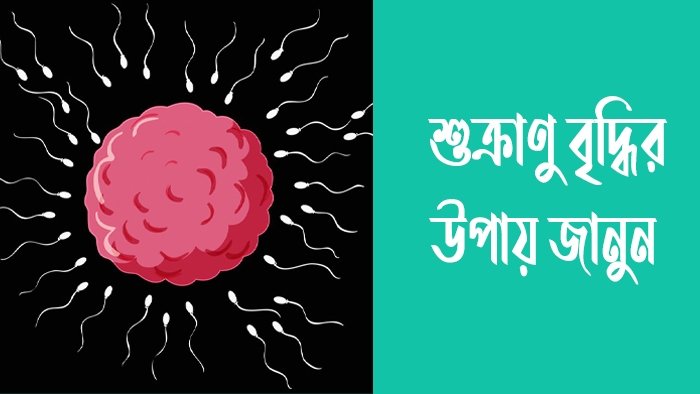শুক্রাণু বৃদ্ধির উপায়