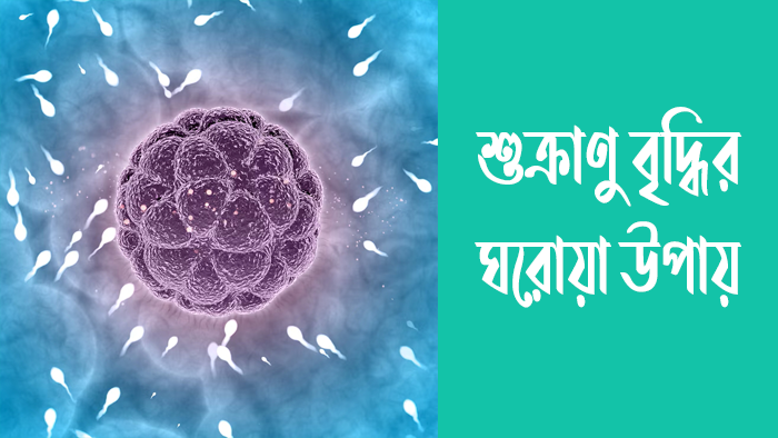 শুক্রাণু বৃদ্ধির ঘরোয়া উপায়