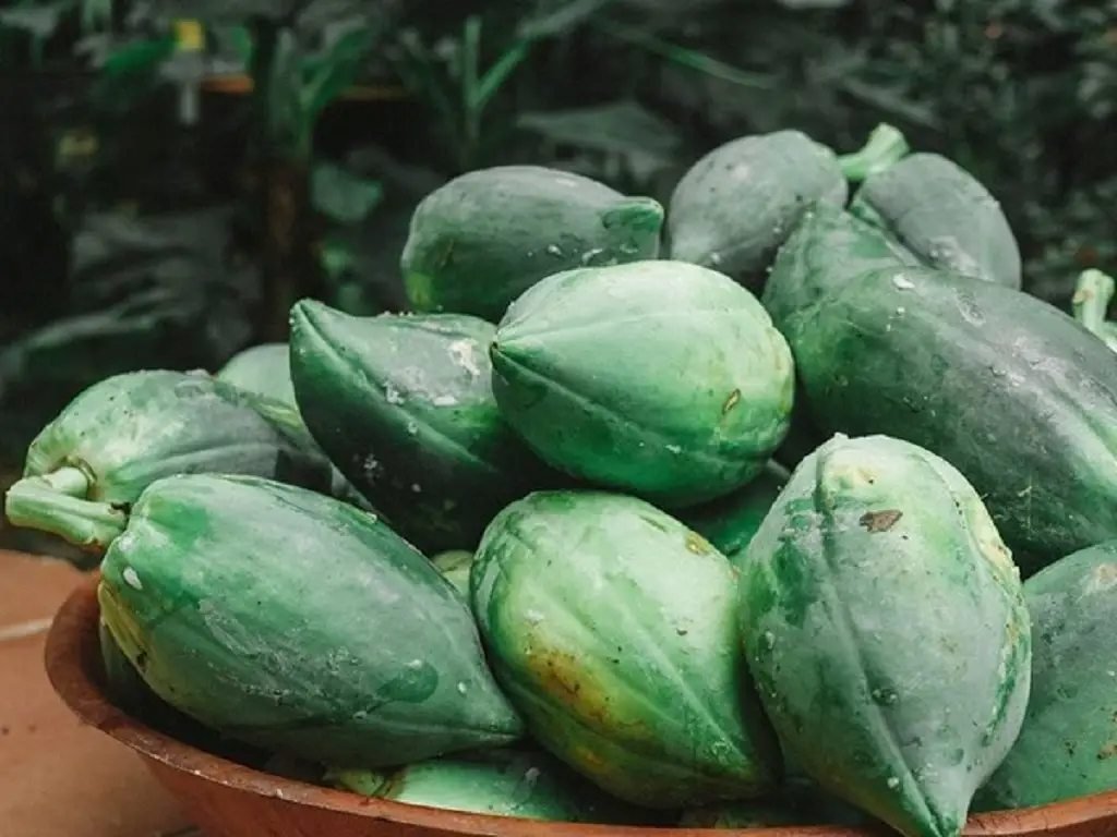সকালে খালি পেটে কাঁচা পেঁপে খাওয়ার উপকারিতা